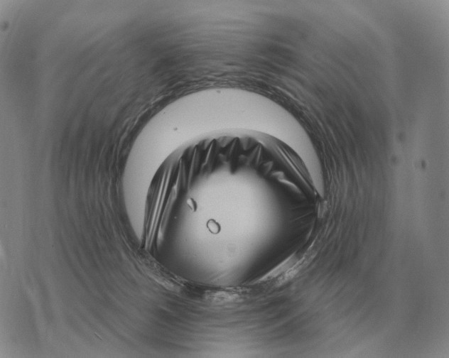 X0000073720180200608311829