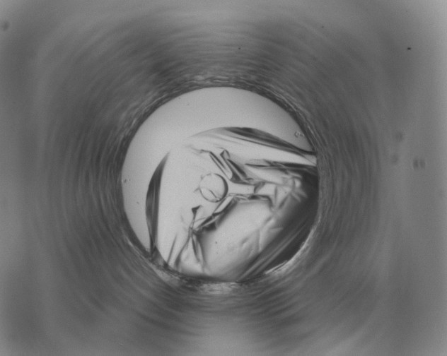X0000073720192200608311829