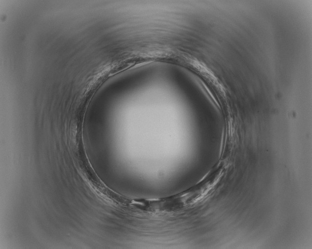 X0000073720201200608311828