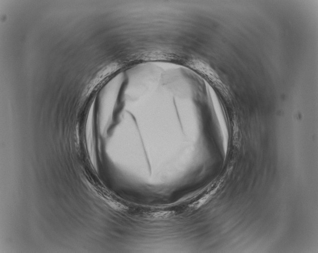 X0000073720202200608311828