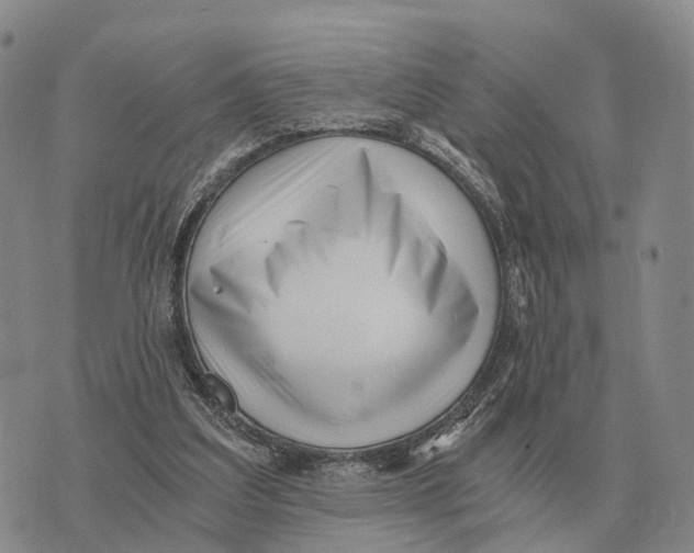 X0000073720203200608311828