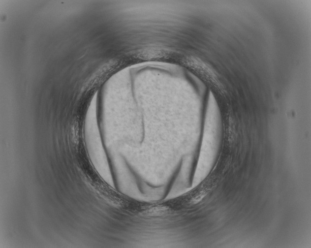 X0000073720210200608311828