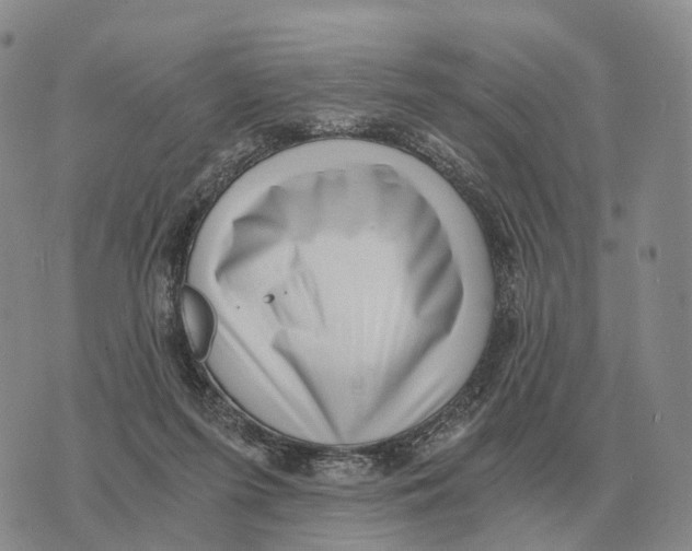 X0000073720215200608311828