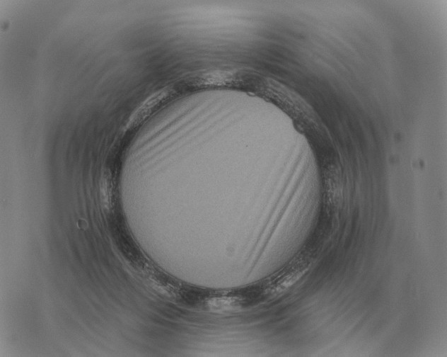 X0000073720216200608311828