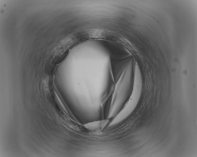 X0000073720217200608311828