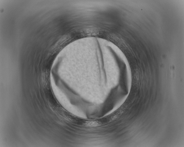 X0000073720218200608311828