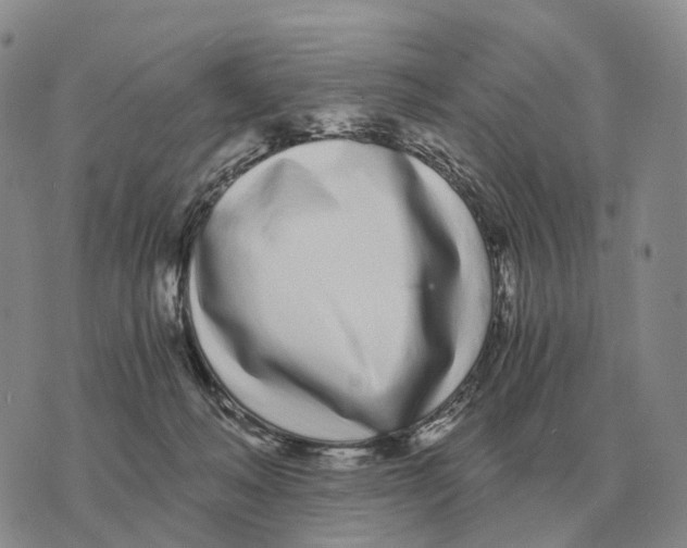 X0000073720222200608311828