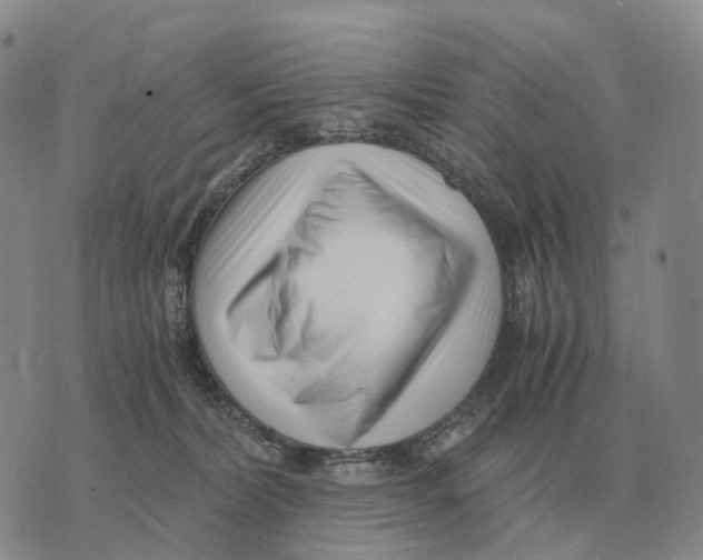 X0000073720228200608311827