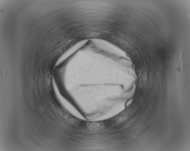 X0000073720230200608311827