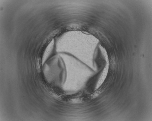 X0000073720232200608311827