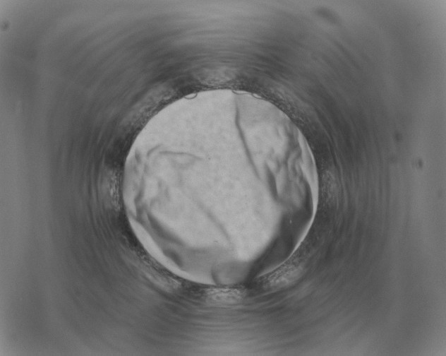 X0000073720234200608311827