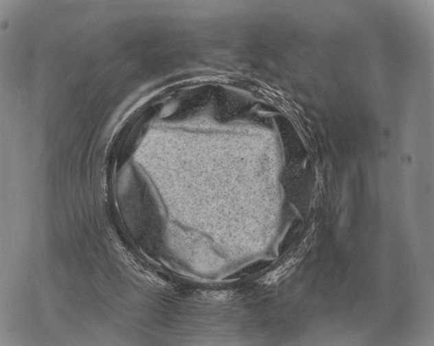 X0000073720247200608311827