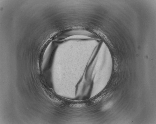 X0000073720251200608311827