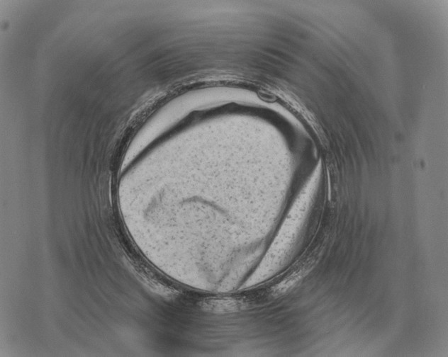 X0000073720253200608311827