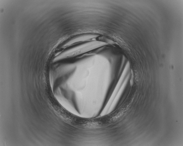 X0000073720256200608311827