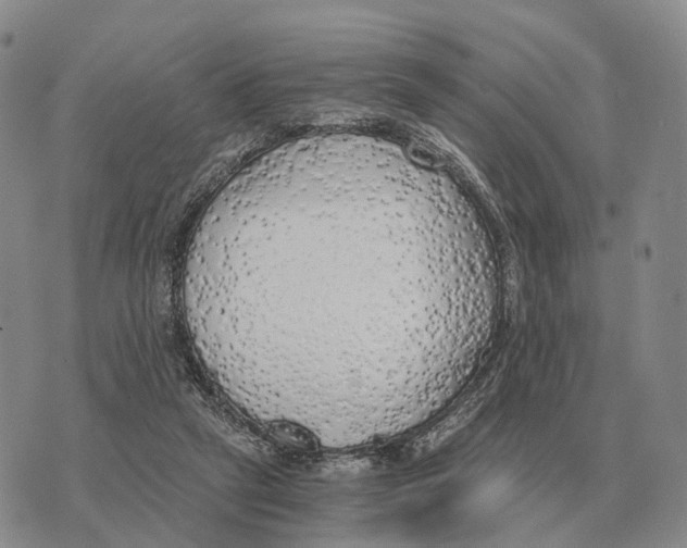 X0000073720257200608311827