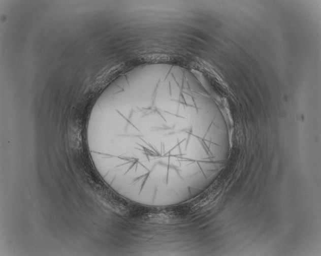 X0000073720259200608311827