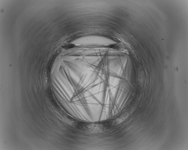 X0000073720261200608311827
