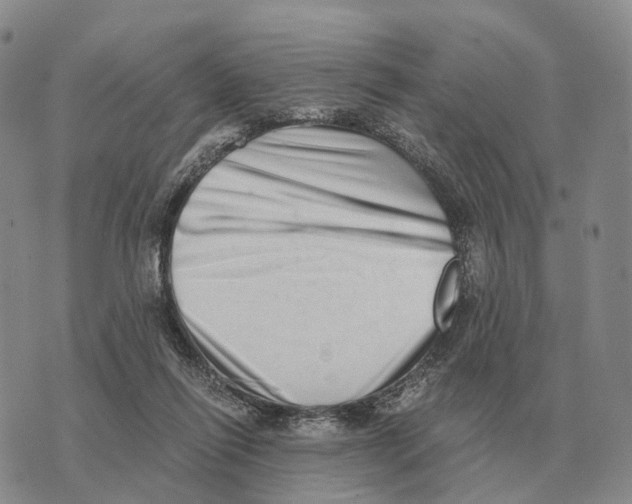 X0000073720262200608311827