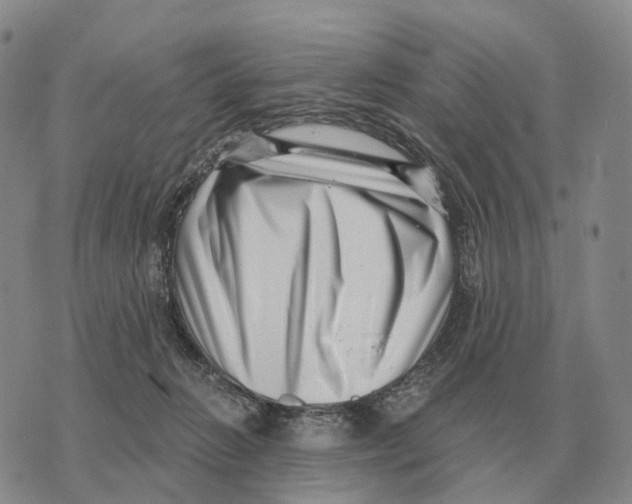 X0000073720270200608311827