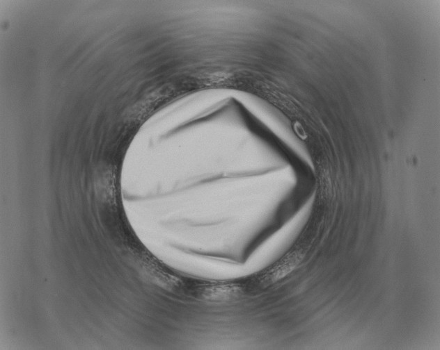 X0000073720274200608311827