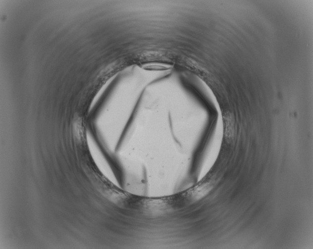 X0000073720287200608311827