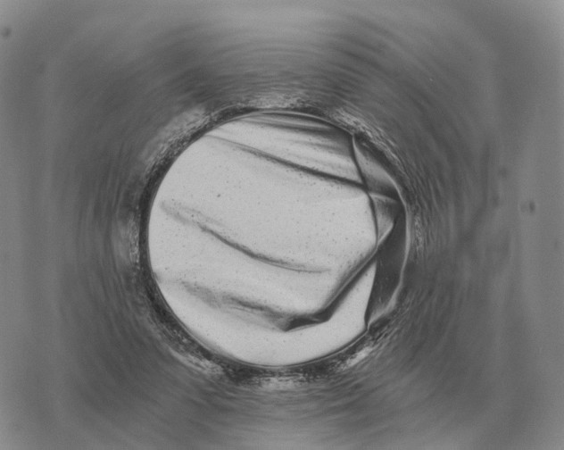 X0000073720303200608311826