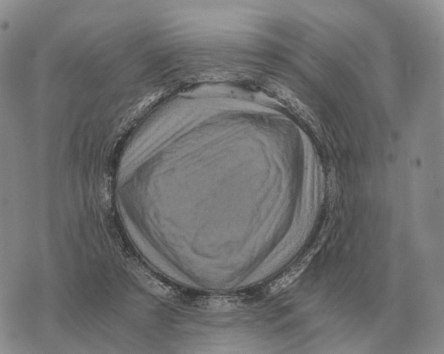 X0000073720305200608311826
