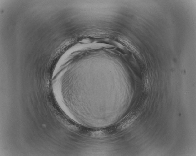 X0000073720309200608311826