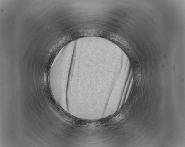 X0000073720310200608311826
