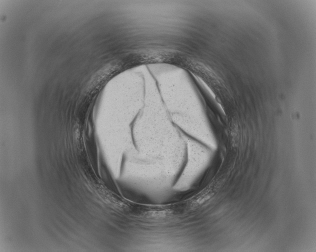 X0000073720314200608311826