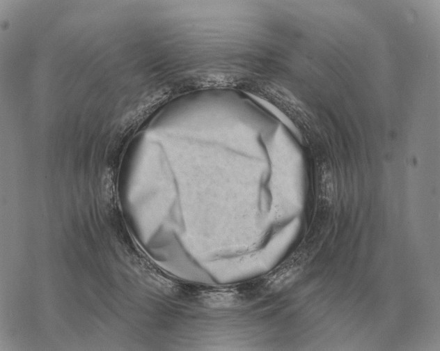 X0000073720318200608311826