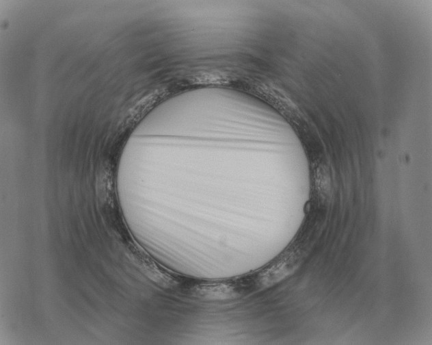 X0000073720322200608311826