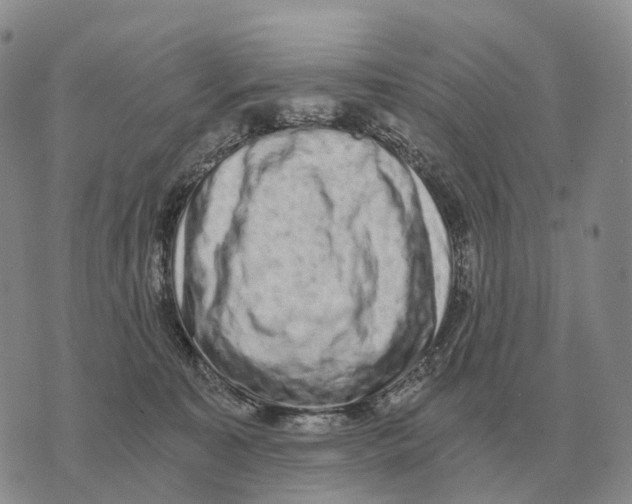 X0000073720323200608311826