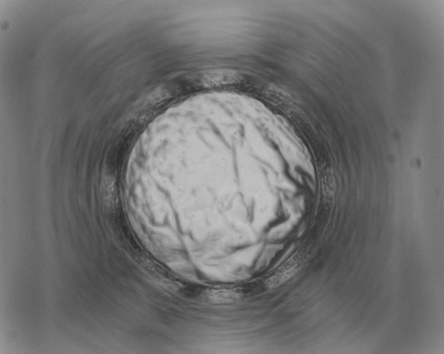 X0000073720327200608311826