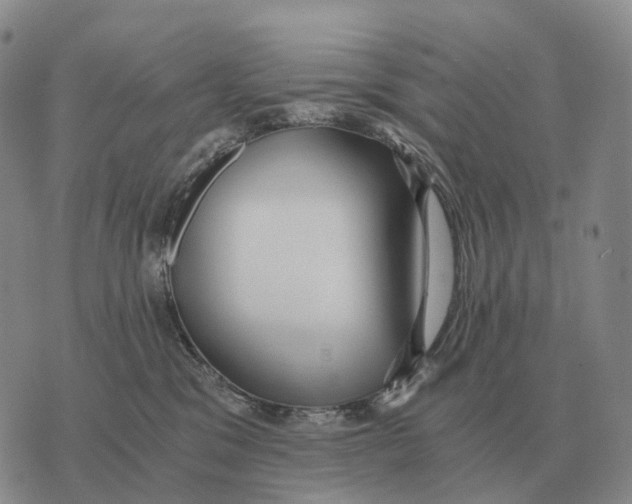 X0000073720329200608311826