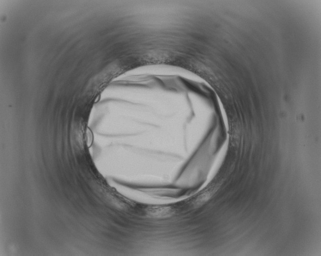 X0000073720334200608311826