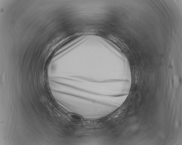 X0000073720338200608311825