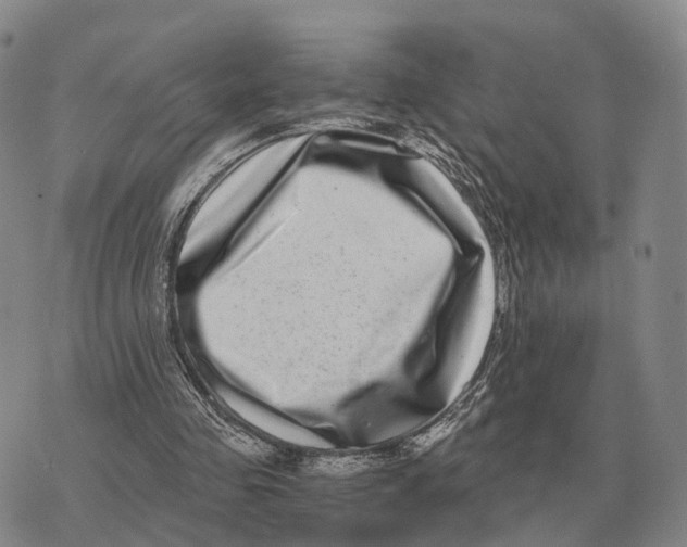 X0000073720341200608311825