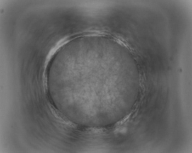 X0000073720343200608311825