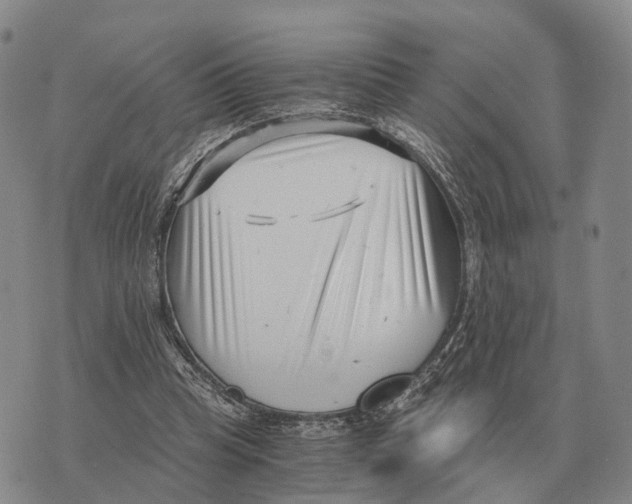 X0000073720345200608311825