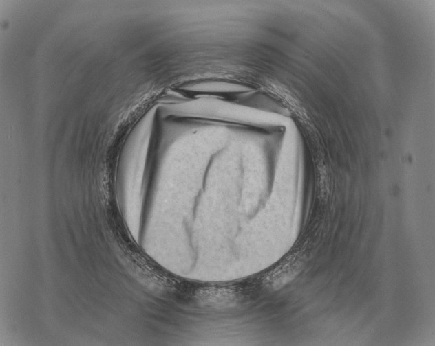 X0000073720354200608311825