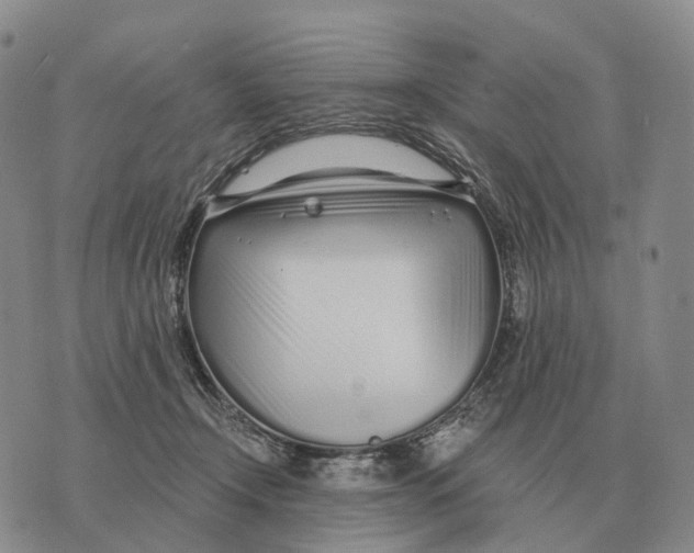 X0000073720366200608311825