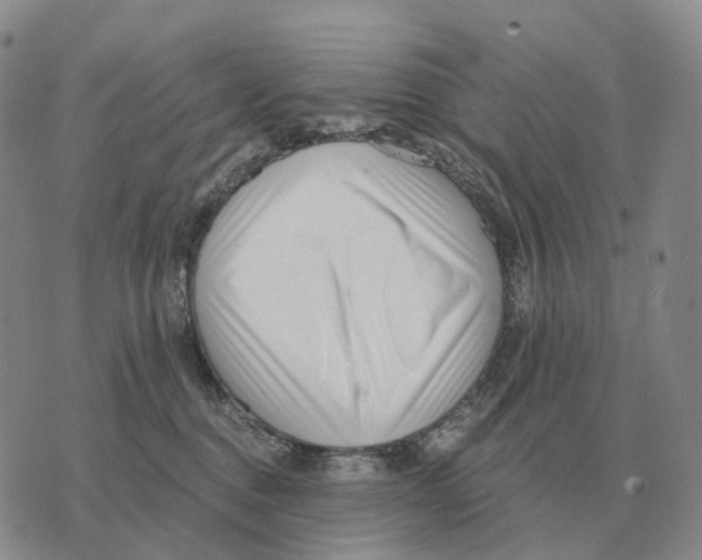 X0000073720376200608311826