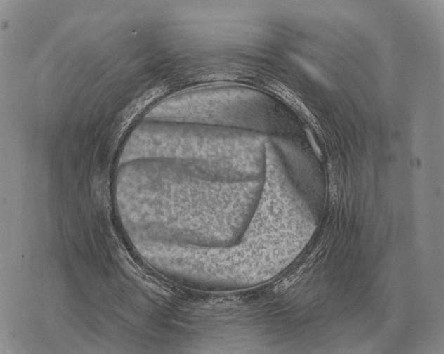 X0000073720386200608311825