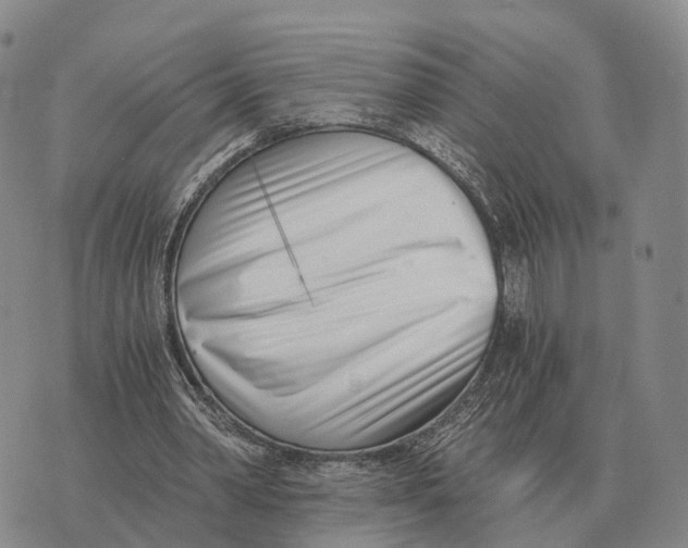 X0000073720390200608311825