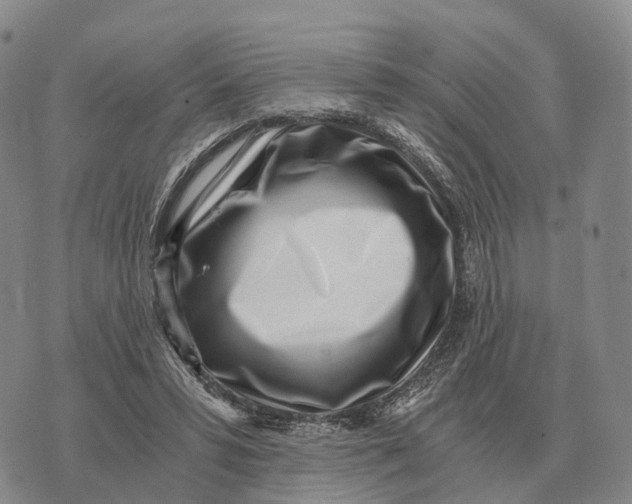X0000073720399200608311825