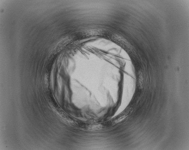 X0000073720410200608311824