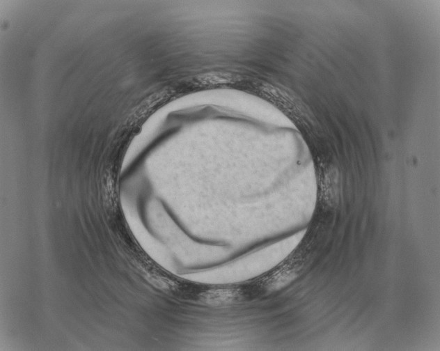 X0000073720418200608311824