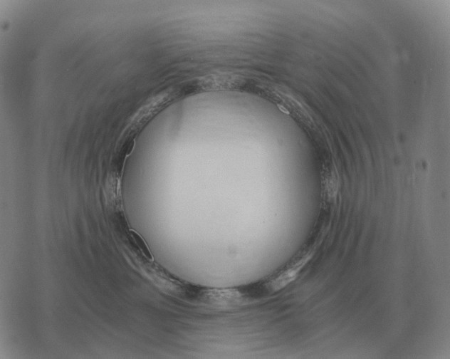 X0000073720429200608311824